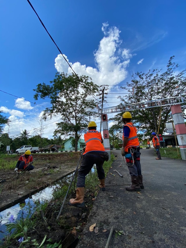 Pembersihan  jaringan listrik (ROW) dari pohon dan tanam tumbuh yang berpotensi menyebabkan terjadinya gangguan listrik. Foto: Dok PLN Kalbar