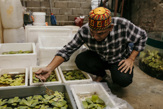 82+ Gambar Ikan Cupang Dari Sabun Gratis