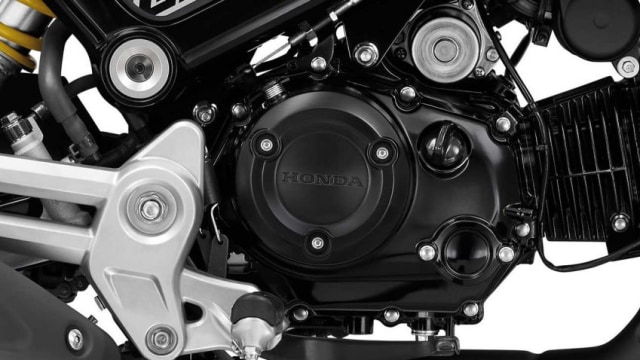 Motor Mungil New Honda Grom Bakal Dijual di Indonesia? (196576)