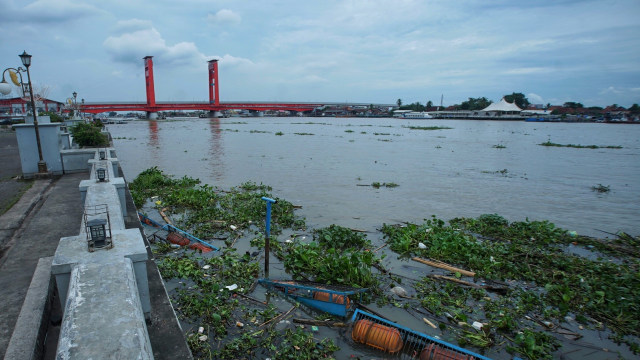 Tumpukan sampah enceng gondok di Sungai Musi Palembang, Minggu (25/10) Foto: ary priyanto/Urban Id