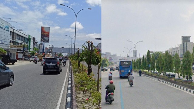 Vendor Papan Reklame Bayar Orang Potong 83 Pohon Senilai Rp 2,5 Juta (297529)