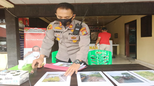 Vendor Papan Reklame Bayar Orang Potong 83 Pohon Senilai Rp 2,5 Juta (297530)