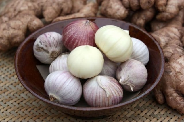 Manfaat Bawang Putih Lanang, Foto: Dok. Shutterstock