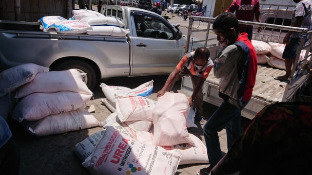 Proses jual beli pupuk bersubsidi di distributor di Kota Maumere. Foto : Istimewa