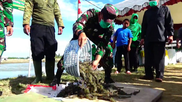 Panen perdana udang windu hasil usaha prajurit TNI di Aceh. Foto: Laung/TNI 