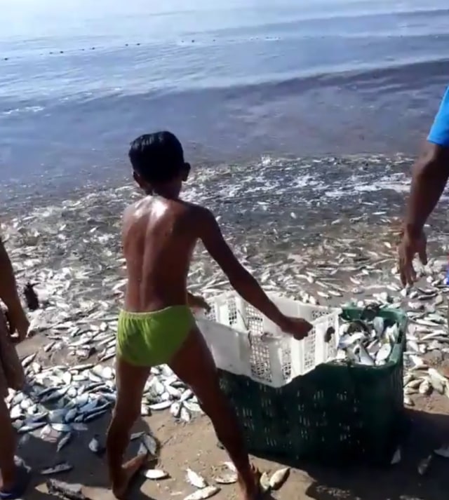Situasi masyarakat di Pantai Ujung Pandaran saat mengambil ikan hasil tangkapan nelayan setempat. (Dokumen Istimewah).
