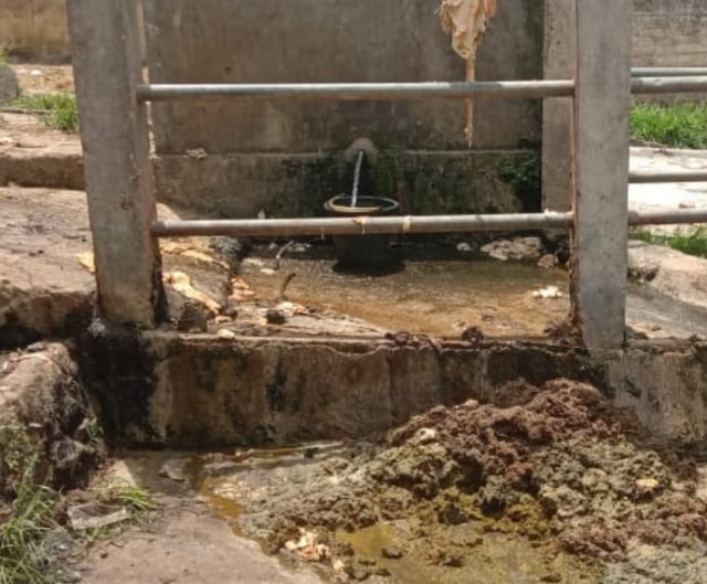 Foto: Limbah ternak sapi dari Rumah Potong Hewan (RPH) Karot, Kecamatan Langke Rembong, Kabupaten Manggarai.