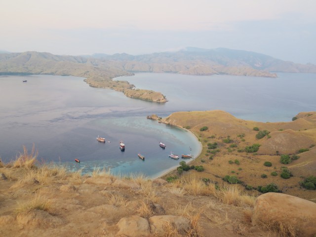 Komodo: Berapa Harga Kejemawaan Kita atas Warisan Dunia? (341124)