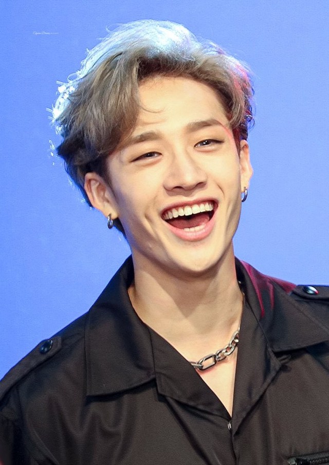 Biodata Member Stray Kids Bang Chan, Foto: Dok. biaswrecker.com