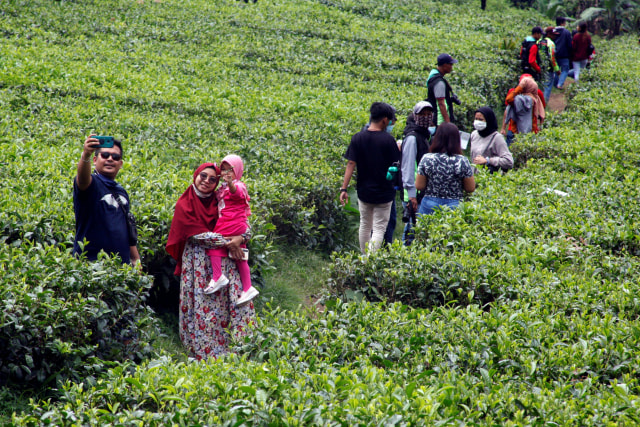 Sejumlah warga berwisata di kawasan Kebun Teh Puncak, Kabupaten Bogor, Jawa Barat, Sabtu (31/10). Foto: Yulius Satria Wijaya/Antara Foto