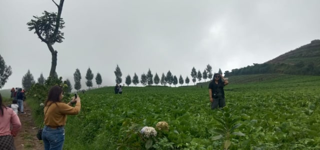 Lanskap Brakseng, Wisata Alam Di Kota Batu Cocok Untuk Melepas Penat ...