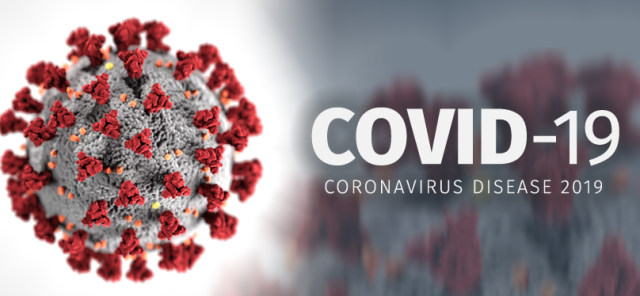 Ilustrasi coronavirus. Foto: Dok. Kemenkes