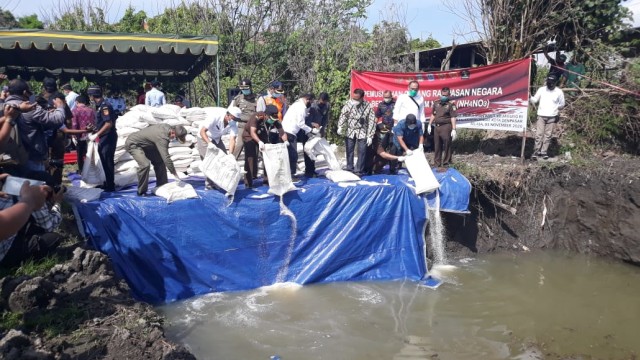 Pemusnahan dilakjukan di Pantai Biaung, Denpasar, Bali - ISt