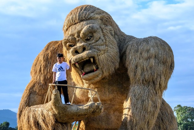 Pengunjung menaiki gorila raksasa yang terbuat dari jerami padi di sebuah taman hiburan di tepi danau Huay Tueng Thao, Chiang Mai, Thailand.  Foto: Mladen ANTONOV / AFP