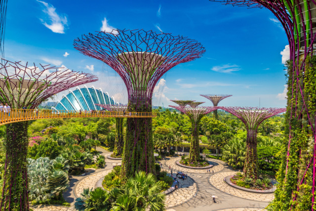 Garden by The Bay, Singapura. Foto: Shutterstock