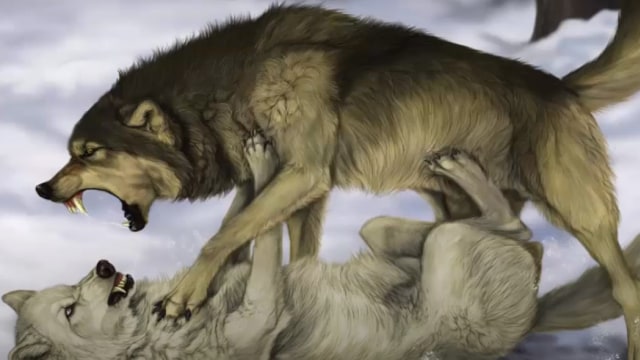Ilustrasi anjing dan serigala. Foto: Youtube/Pragmatiko