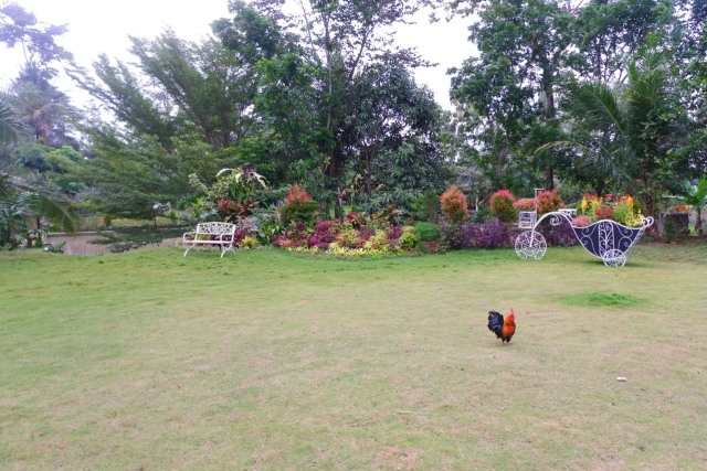 Saung Suka: Venue Outdoor Bernuansa Tradisional Pedesaan di Pesawaran, Lampung (115497)