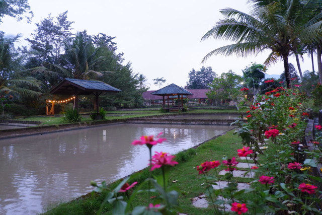 Saung Suka: Venue Outdoor Bernuansa Tradisional Pedesaan di Pesawaran, Lampung (115500)