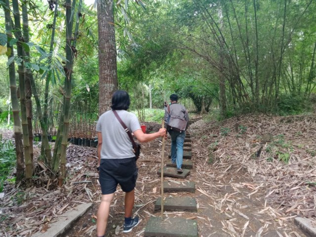 Arboretum Bambu. Foto: Rizal Adhi