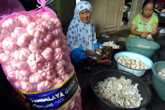 Buruh mengupas kulit bawang putih impor dari China di Kampung Cibadak RT 03/12, Tanah Sareal, Kota Bogor, Jawa Barat. Foto: Arif Firmansyah/Antara Foto