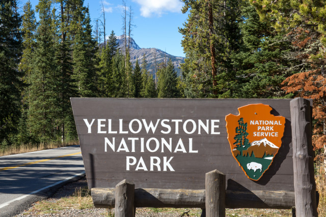 Taman Nasional Yellowstone di Amerika Serikat Foto: Shutter Stock