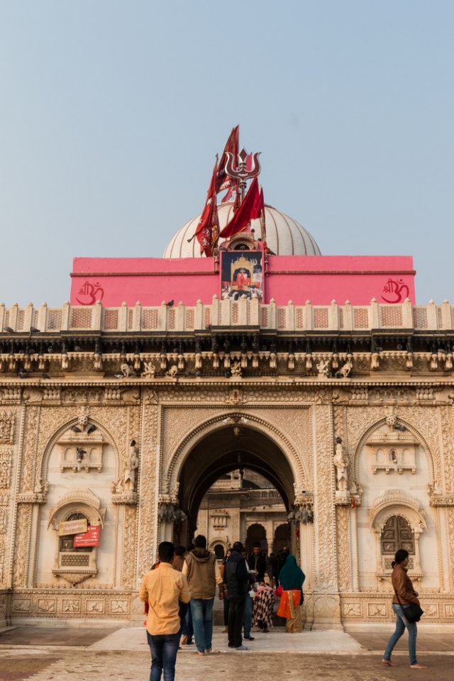 Kuil di India yang dipenuhi ribuan tikus Foto: Shutter Stock