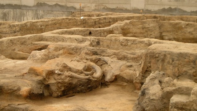 Kota kuno Catalhoyuk di Turki. Foto: Verity Cridland via Wikimedia Commons