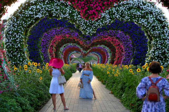 Foto Berkunjung ke Dubai  Miracle Garden Taman  Bunga  