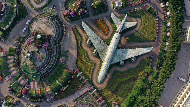 Foto udara bunga bentuk pesawat Emirates Airlines Airbus A380 dipajang di Dubai Miracle Garden, Uni Emirat Arab. Foto: GIUSEPPE CACACE / AFP