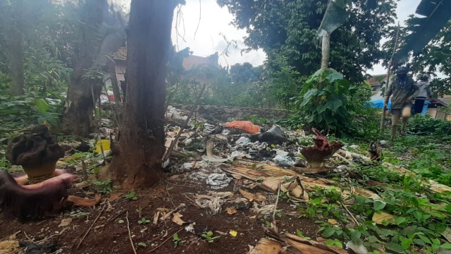 Suweg, Tanaman Jenis Bunga Bangkai Tumbuh di Kebun Warga Serang, Banten (98559)