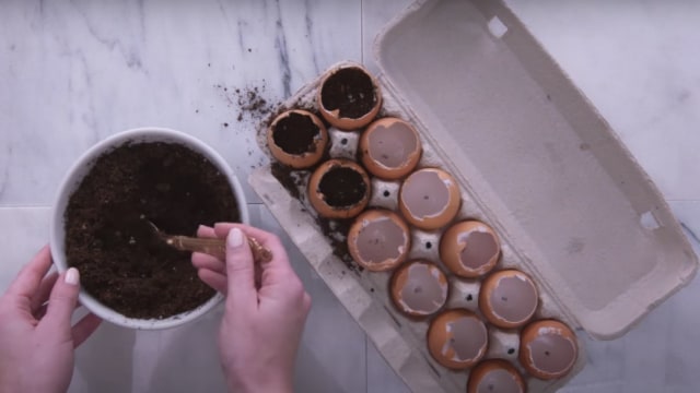 Memasukkan Tanah ke dalam Cangkang Telur. Foto: Youtube/HGTV Handmade