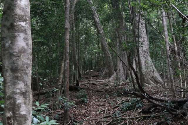 Kawinda To’i: Pesona dan Kisah Bagian Utara Jalur Pendakian Gunung Tambora (18843)