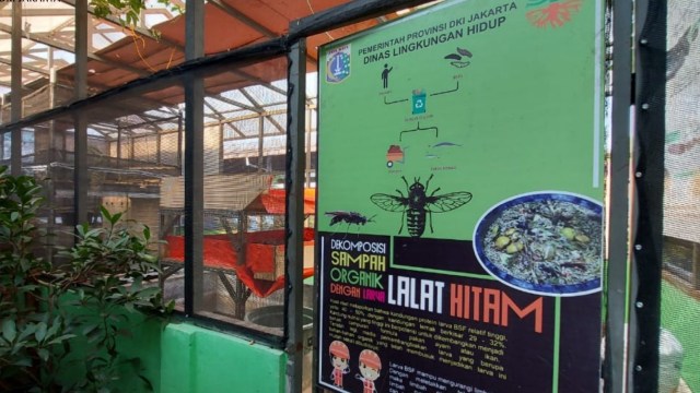 Laboratorium Maggot di Dinas Lingkungan Hidup DKI Jakarta. Foto: Twitter/@dinaslhdki