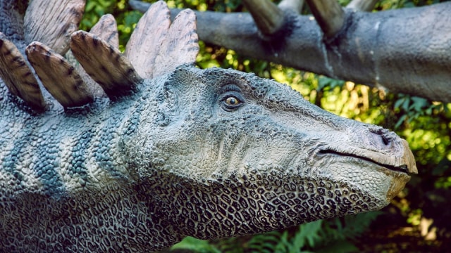 Sudah Tahukah Kamu Keunikan Otak, Bulu, dan Suara Dinosaurus? (49816)