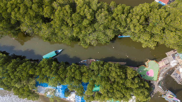 Foto udara wisata Hutan Mangrove Sungai Jingkem di Tarumajaya, Kabupaten Bekasi, Jawa Barat. Foto: Fakhri Hermansyah/Antara Foto