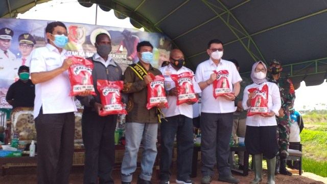 Beras Malind dari Petani Milenial Asal Merauke Papua (46018)