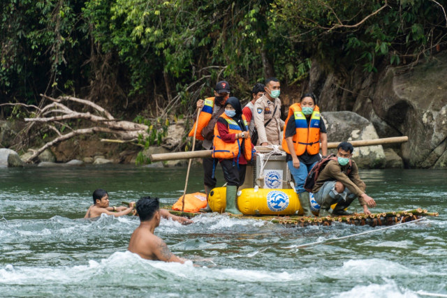 Kisah 5 Orangutan yang Kembali ke Habitatnya di Alam Liar Hutan Hujan Kalimantan (14358)