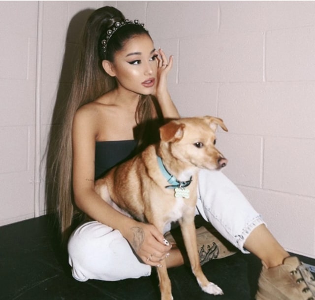 Ariana Grande dan anjingnya Toulouse (Foto: Instagram/arianagrande)