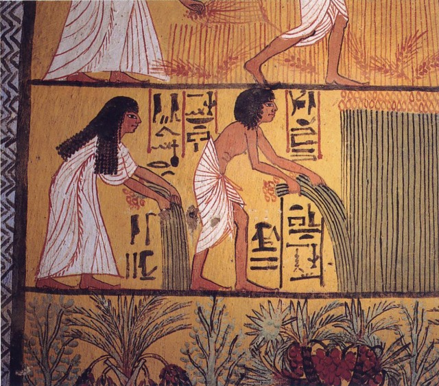 5 Kekeliruan tentang Mesir Kuno: dari Soal Unta hingga Paras Biasa Cleopatra (362657)