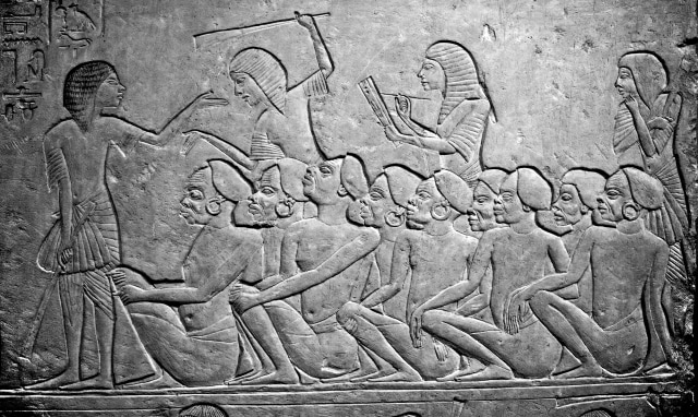 5 Kekeliruan tentang Mesir Kuno: dari Soal Unta hingga Paras Biasa Cleopatra (362659)