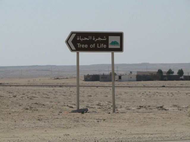 Pohon ‘Physical Distancing’ Itu Menyendiri di Bahrain (129333)