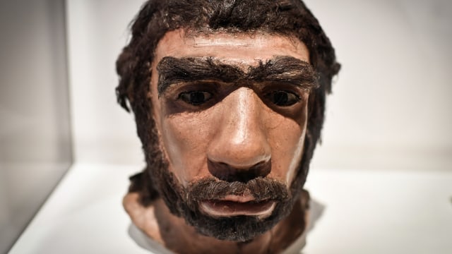 Cetakan wajah manusia purba Neanderthal yang ditampilkan untuk pameran Neanderthal di Musee de l'Homme di Paris. Foto: STEPHANE DE SAKUTIN/AFP