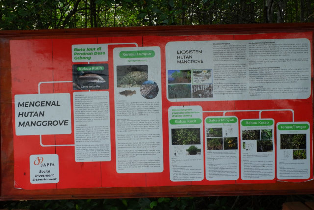 Menikmati Wisata Sensasi Forest Healing di Hutan Mangrove Petengoran, Pesawaran (42962)