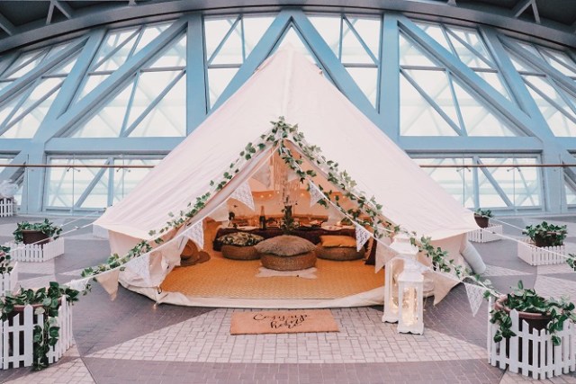 Bandara Changi Buka Penginapan Glamping, Bisa Piknik Mewah di Bandara (88947)