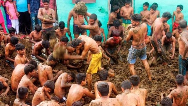Desa di India Akhiri Festival Diwali dengan Lempar Kotoran Sapi (664777)