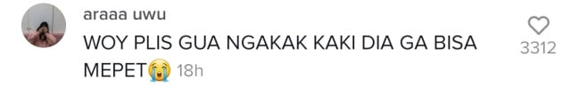 Viral Kucing Pakai Pampers karena Diare (12427)
