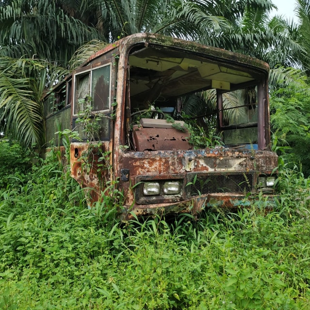 Jarang yang Tahu, Inilah 'Kuburan' Toyota Hardtop di Sumatera Utara (663444)