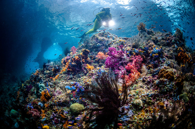 ra Spot Diving di Raja Ampat. Foto: Getty Images