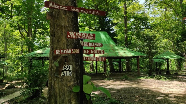 Objek Wisata Alam Gubug Payung, yang berlokasi di kawasan hutan di Desa Temengeng Kecamatan Sambong Kabupaten Blora.