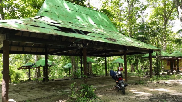 Perhutani Bakal Tata Kembali Objek Wisata Gubug Payung Blora (605886)